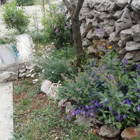 With Parking Space Zdrelac, Pasman - 21549 *