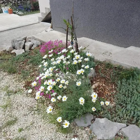 Apartment With Parking Space Zdrelac, Pasman - 21549 *