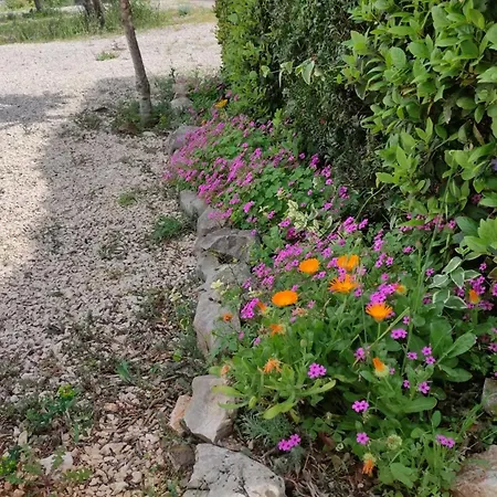 Lejlighed With Parking Space Zdrelac, Pasman - 21549 *